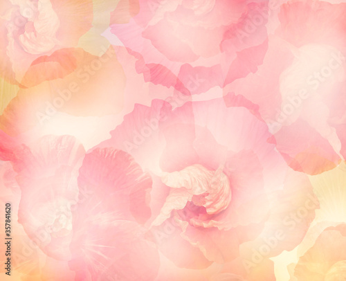 Abstract Hibiscus Flowers for Background