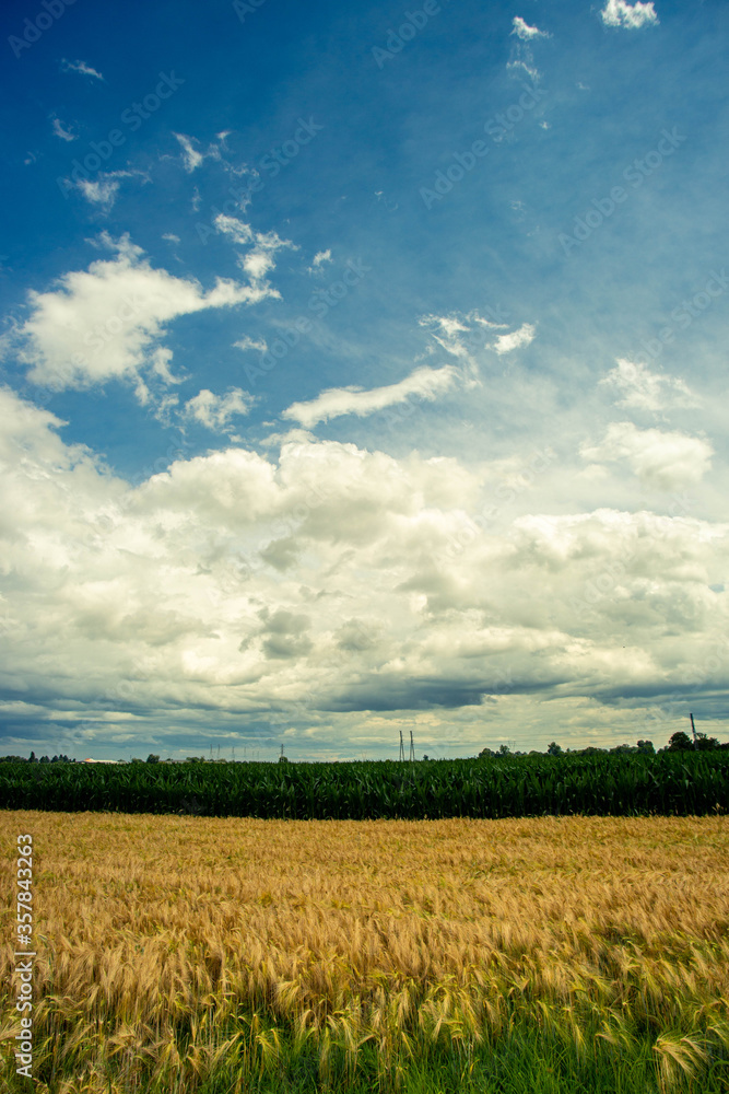 country landscape dominated by thunderstorm clouds country landscape dominated by thunderstorm clouds