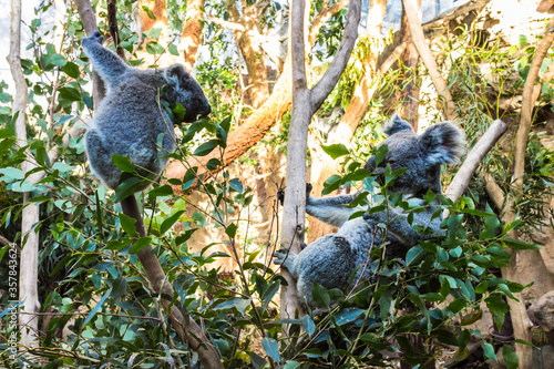 Photography Holiday in Australia view of Animal in Sydney Zoo view