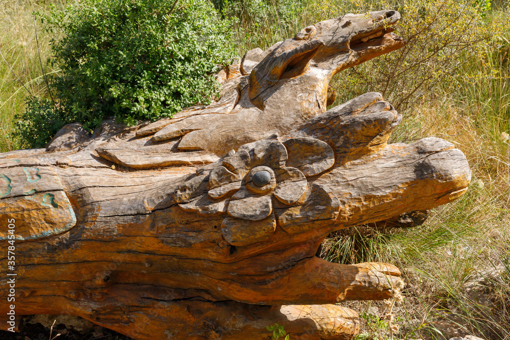 A fallen tree with a flower carved on the trunk in the Totem park in the forest near the villages of Har Adar and Abu Ghosh A fallen tree with a flower carved on the trunk in the Totem park in the forest near the villages of Har Adar and Abu Ghosh