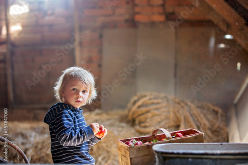 Little toddler blond boy, reading a book in the attic, nice atmosphere, strawberries