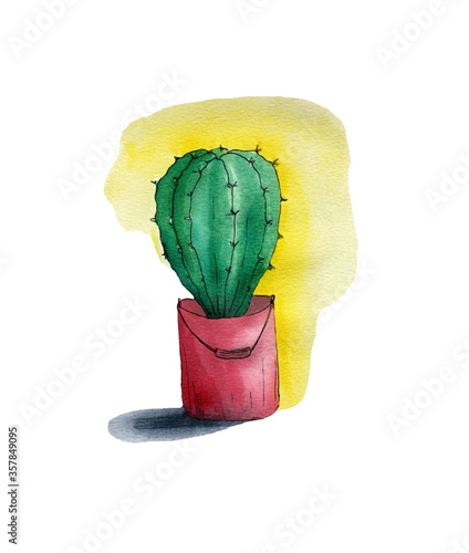 watercolor cactus