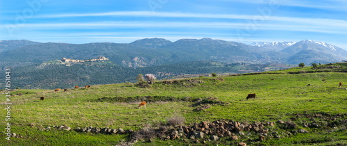 Fotografía Golan Heights landscape: panoramic view from the Nimrod Fortress to snow-capped