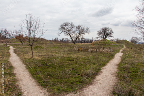 Trail on the island of Khortytsia in Zaporizhzhya in early spring. Ukraine