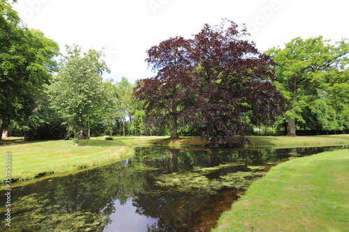  Beautiful in various colors green summer city park with a view over the pond and old trees such as red beech.