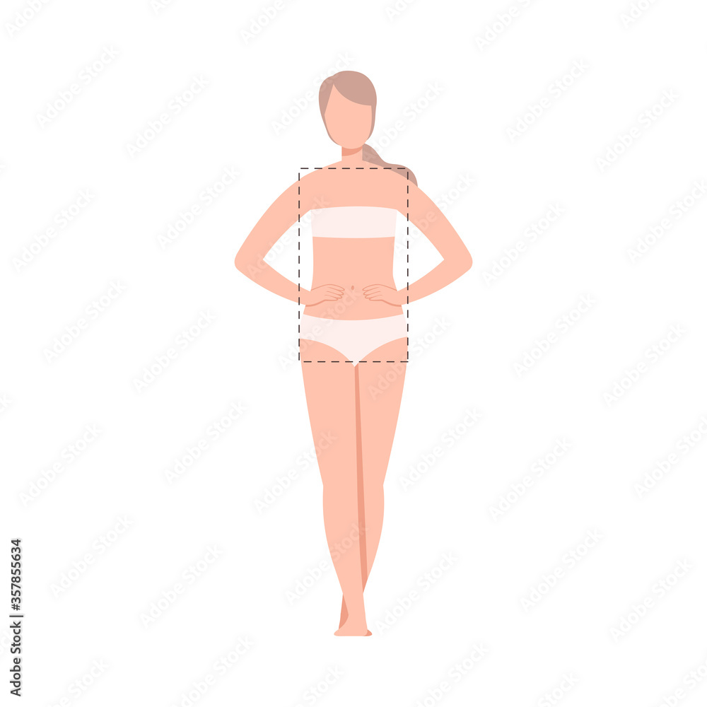 Beautiful Woman in Underwear, Female Rectangle Body Shape Flat Style Vector Illustration Beautiful Woman in Underwear, Female Rectangle Body Shape Flat Style Vector Illustration