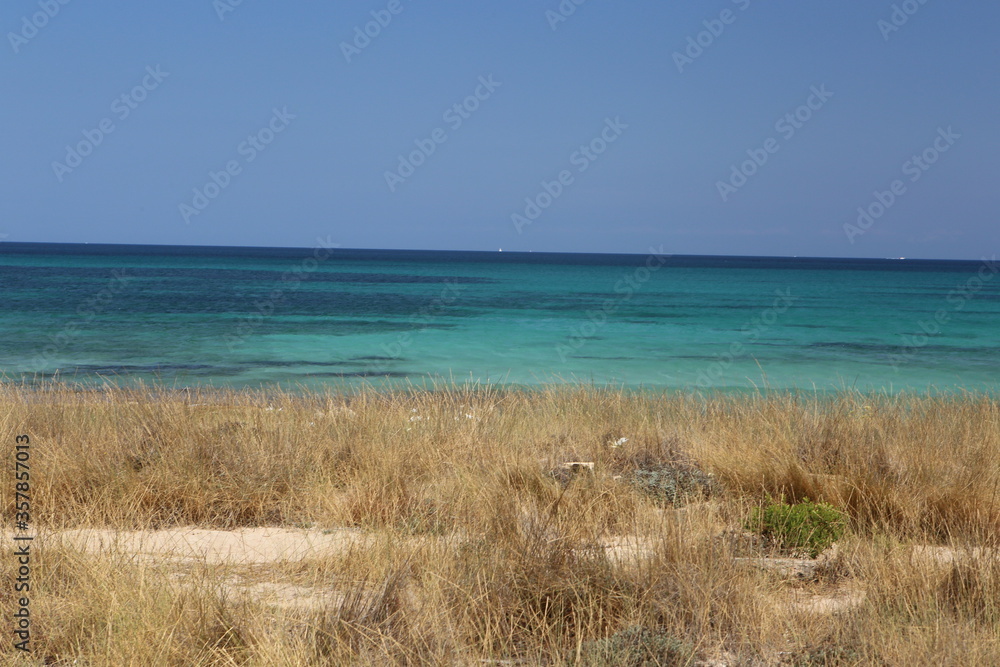 panorama landscape scenic view of isolated deserted rocky dry grass white sand beach with blue turquoise sea water and sky background on beautiful and colorful Mallorca island in Spain