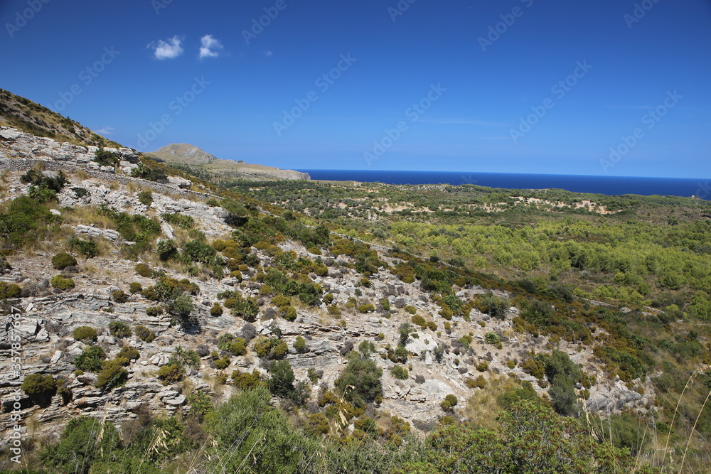 panorama landscape scenic view of isolated green and yellow vegetation mountain with blue sea water and sky background on beautiful and colorful Mallorca island in Spain