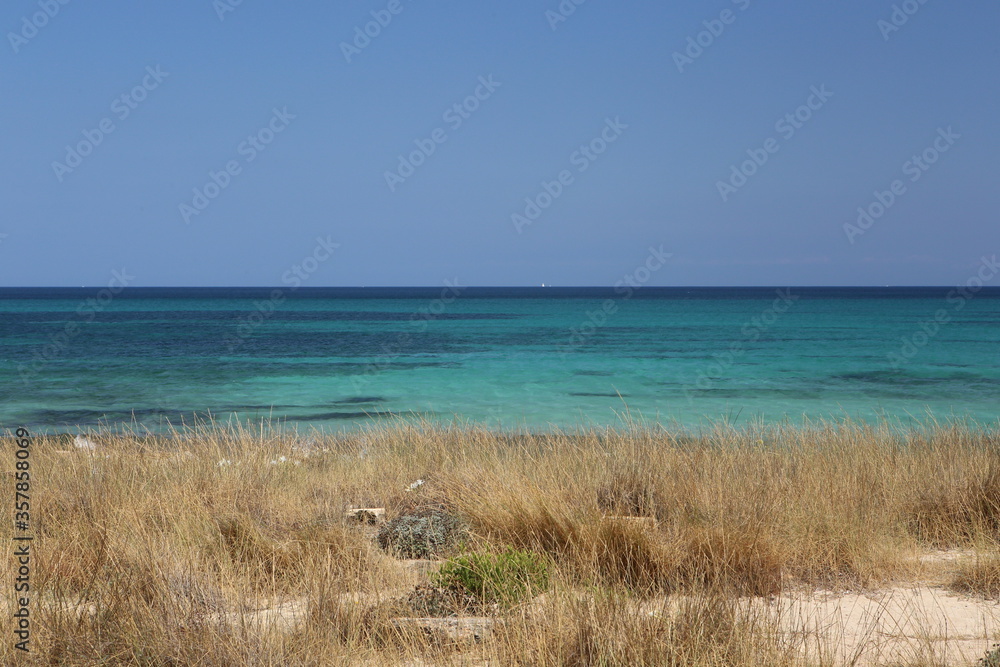 panorama landscape scenic view of isolated deserted dry grass white sand beach with blue turquoise sea water and sky background on beautiful and colorful Mallorca island in Spain