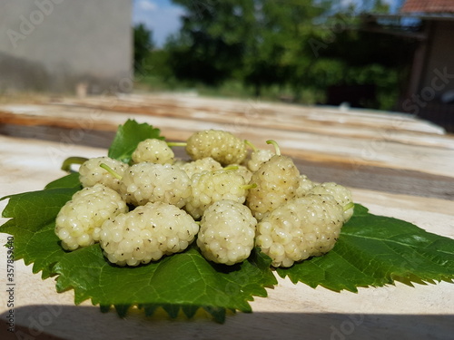 white berry