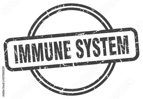 immune system grunge stamp. immune system round vintage stamp