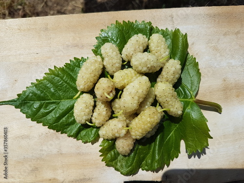 white berry