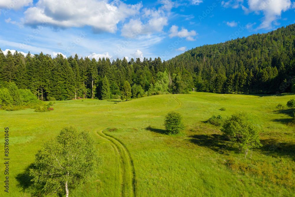 Aerial view on the meadow fringed by the forest, with the road in the middle, Risnjak National Park, Croatia