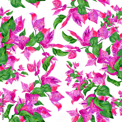 watercolor bougainvillea flowers seamless floral pattern on a white background.