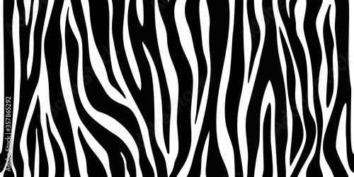 Zebra print. Vector skin zebra seamless pattern for textile, fabric, wallpaper, wrapping paper, poster, background, web. Wild zebra striped lines. Realistic animal texture. Fashion textile
