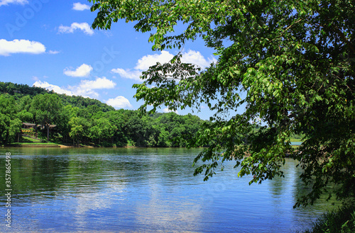 lake in the forest