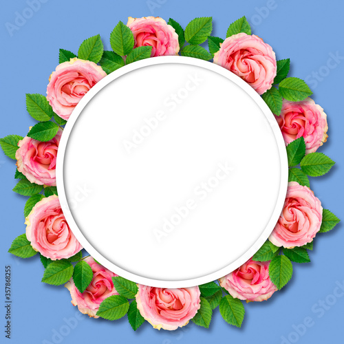 Vintage frame of pink roses with leaves on a blue background. Flowers are located under the 3d circle. Bright natural background for design.