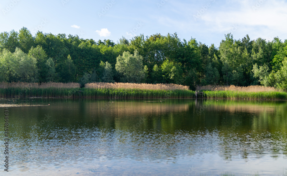 small lake in the forest on a summer sunny day small lake in the forest on a summer sunny day
