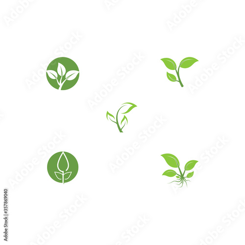 Set Leaf Logo Template vector