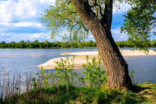 Panoramic view of Vistula river waters with sandy islands and shores of Lawice Kielpinskie natural reserve near Lomianki town north of Warsaw in central Mazovia region of Poland photo