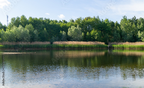 small lake in the forest on a summer sunny day