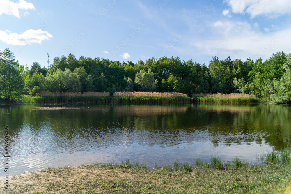 small lake in the forest on a summer sunny day