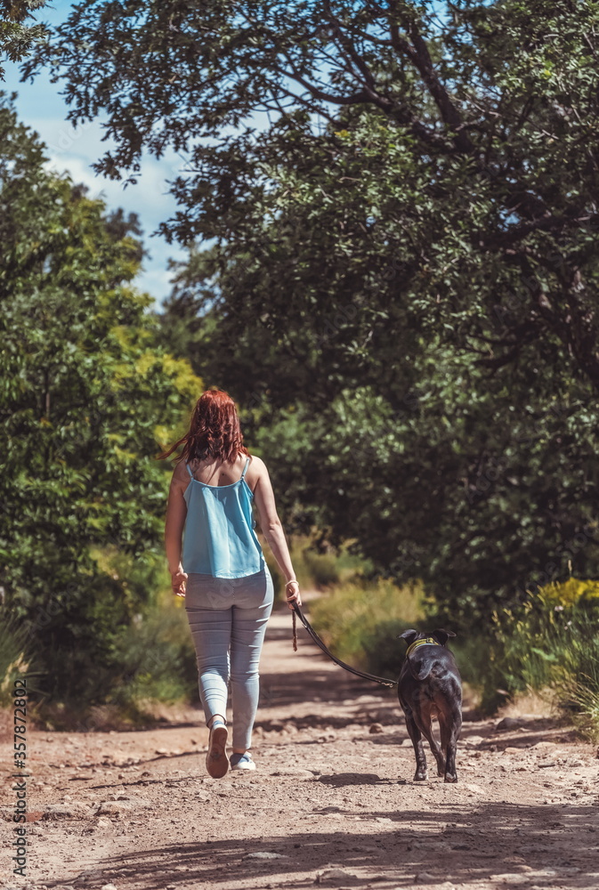 Girl from the back walking with a pitbull dog on a dirt road Girl from the back walking with a pitbull dog on a dirt road