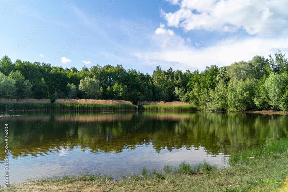 small lake in the forest on a summer sunny day