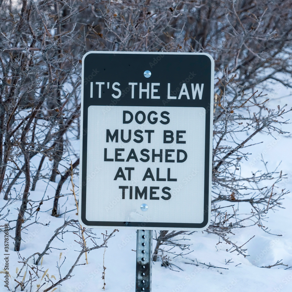 Square Pet Sign against deep snow and leafless trees at Wasatch Mountains in winter