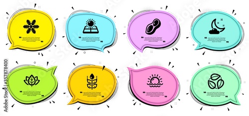 Sunset, Night weather and Sun energy signs. Chat bubbles with quotes. Gluten free, Peanut and Snowflake line icons set. Organic tested, Leaves symbols. Bio ingredients, Vegetarian nut. Vector