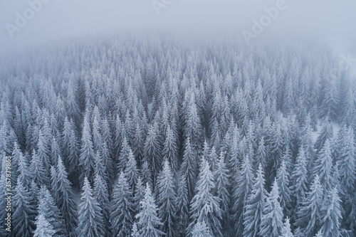Aerial view of frozen winter forest