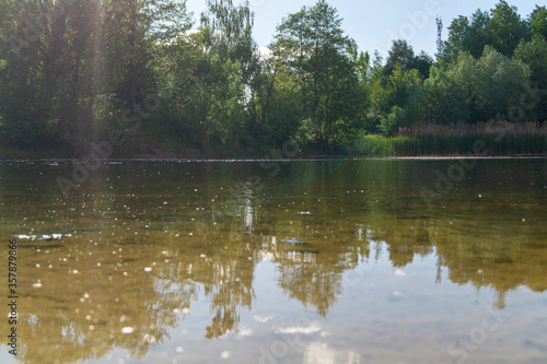 small lake in the forest on a summer sunny day