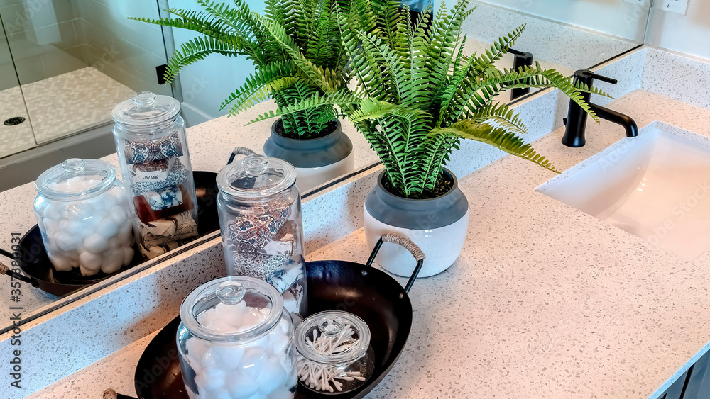 Panorama Potted fern and tray with jars between two sinks with black faucet over cabinets