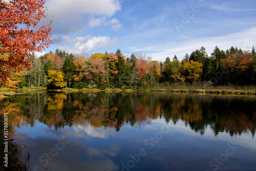 autumn trees reflected in water