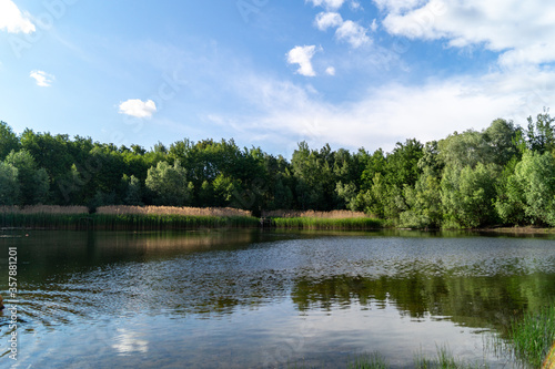 small lake in the forest on a summer sunny day