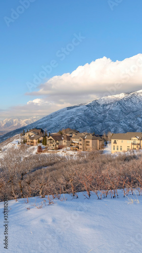 Vertical crop Wasatch Mountains landscape in winter with houses sitting on the snowy slope
