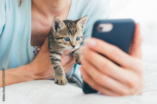 Cropped image of young woman lying on bed with tabby kitten and watching on phone - closeup of shocked or curious kitten looking at the screen of smartphone