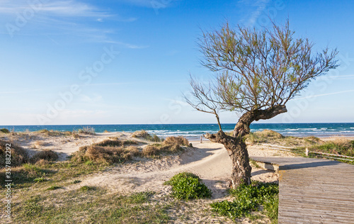 Beach of Berria, in Santona, Cantabria (Spain).