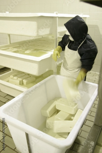 production of mozzarella cheese in Campo Grande, Mato Grosso do Sul, Brazil