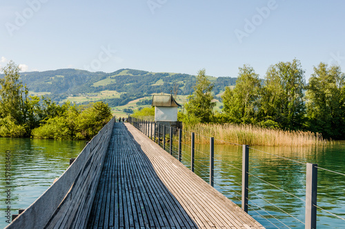 Rapperswil, Zürichsee, Obersee, Seeufer, Schilf, See, Holzsteg, Holzbrücke, Kapelle, Naturschutz, Oberer Zürichsee, Wasservögel, Jona, Schifffahrt, Lachen, Glarner Alpen, Tourismus, Sommer, Schweiz photo