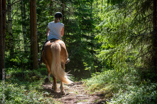 Woman horsebackriding in forest