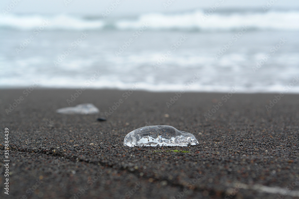 A close up of an dead transparent jellyfish on a black sand after low tide. (Khalaktyrsky beach near the Petropavlovsk-Kamchatsky, Pacific ocean, Kamchatka Peninsula, Far East Russia) A close up of an dead transparent jellyfish on a black sand after low tide. (Khalaktyrsky beach near the Petropavlovsk-Kamchatsky, Pacific ocean, Kamchatka Peninsula, Far East Russia)