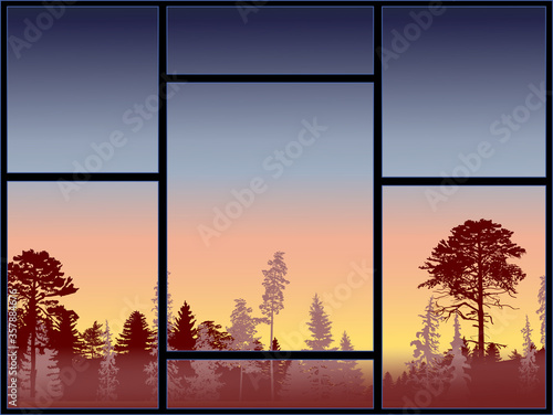evergreen brown trees on sunset background in frame