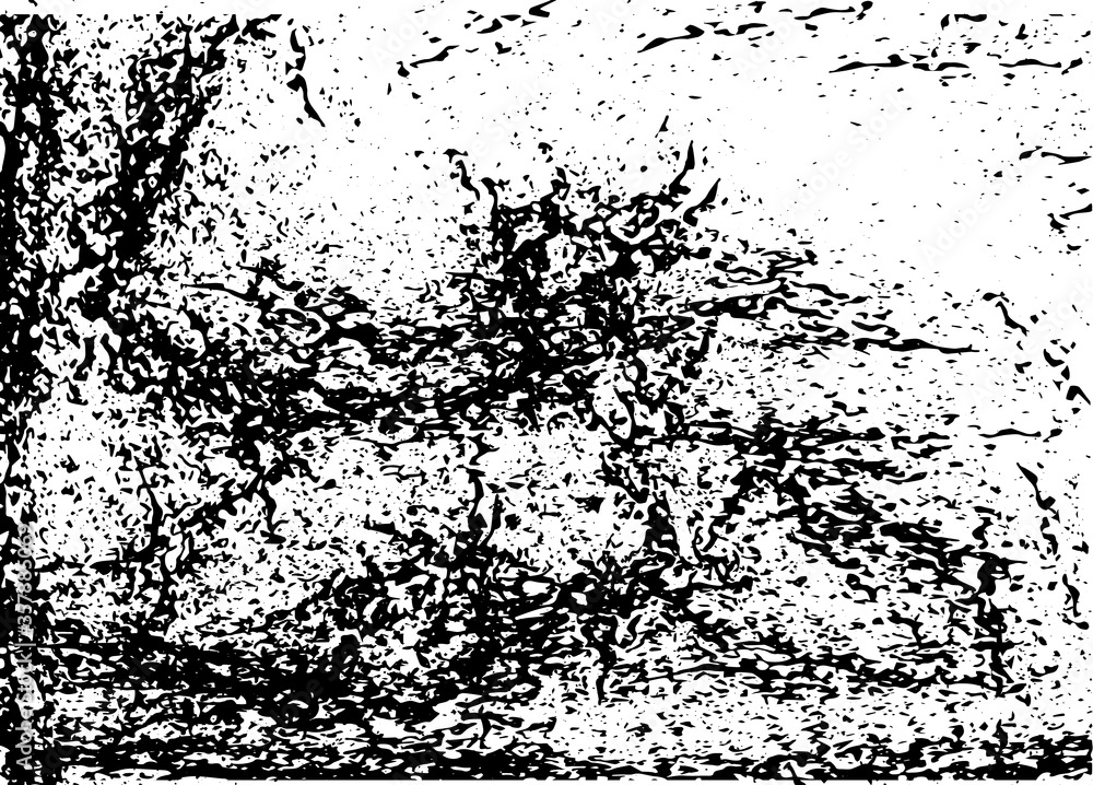 Fototapeta premium Grunge abstract black-white texture. Vector