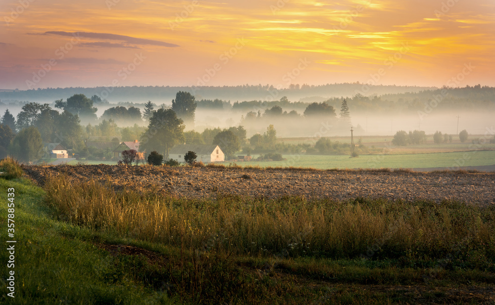 custom made wallpaper toronto digitalmorning mist over the village