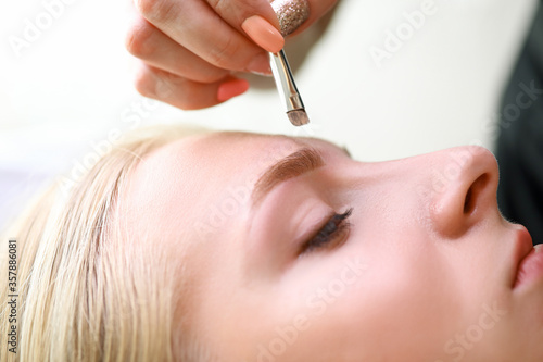 Makeup artist applies eye shadow on eyebrows model