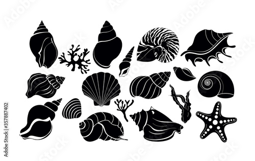 Set of silhouette black sea shells, algae and starfish. Vector illustration isolated on a white background.