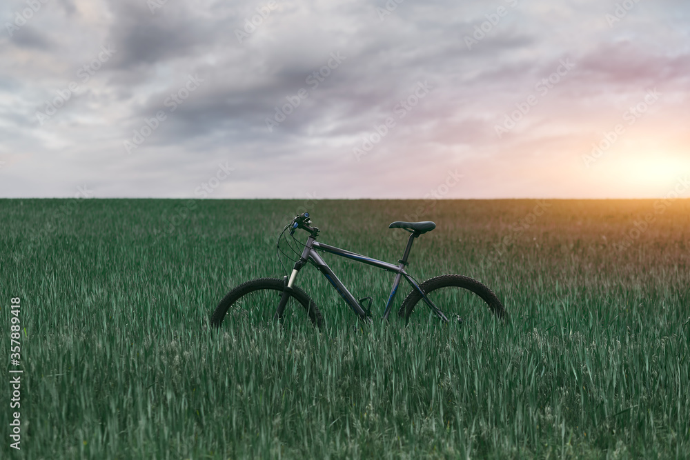 Naklejka premium mountain bike in the green field during sunset