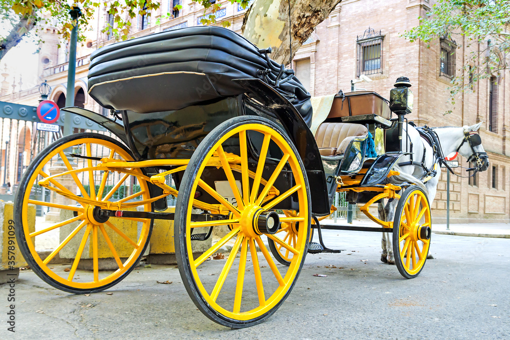 Fototapeta premium Traditional tourist carriage in Sevilla, Andalusia (Spain).