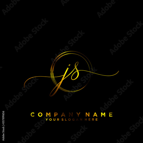 JS Initial handwriting logo vector